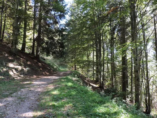 Dettaglio del percorso