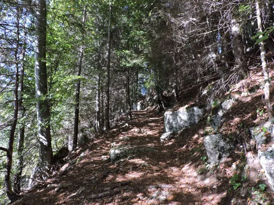 Dettaglio del sentiero