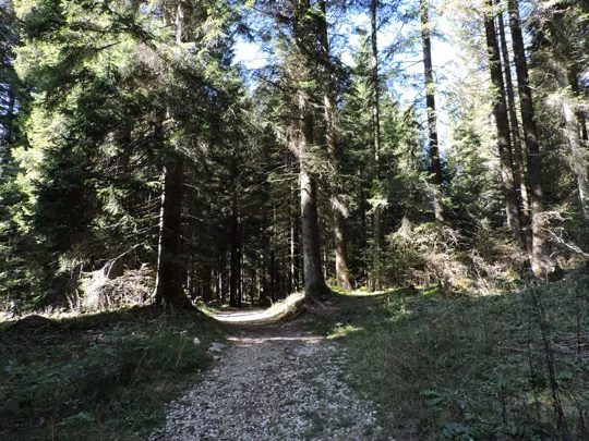 Dettaglio del sentiero