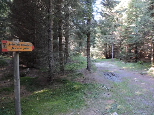 Dettaglio del sentiero