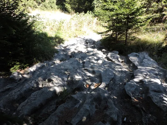 Particolare conformazione rocciosa vicino al taglialegna