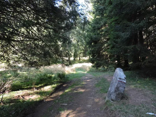 Dettaglio del percorso