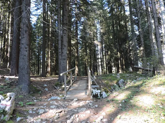 Ponte sopra alla trincea