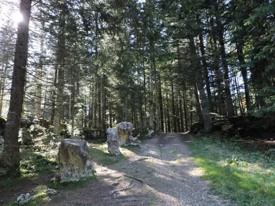 Dettaglio del percorso