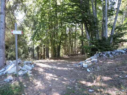 Dettaglio del sentiero