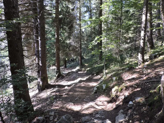 Dettaglio del sentiero