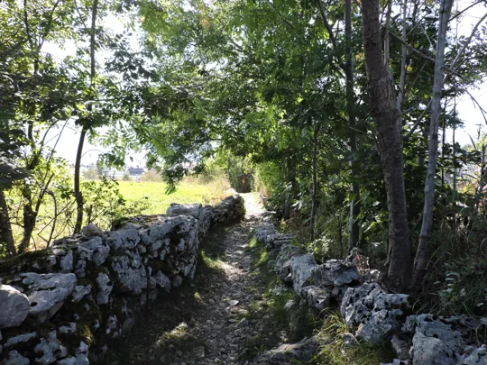 Dettaglio del sentiero