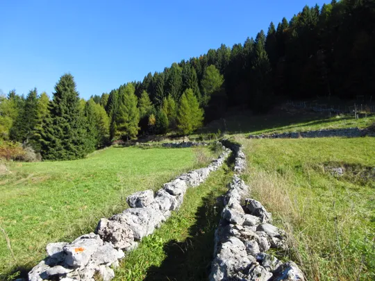 Dettaglio del sentiero