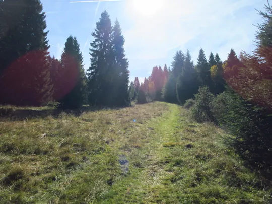 Dettaglio del percorso dopo la staccionata