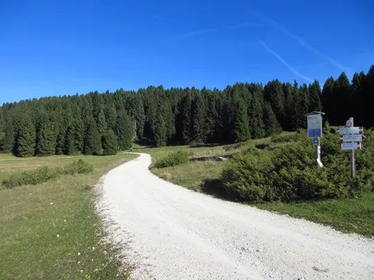 La strada verso il rifugio Millegrobbe