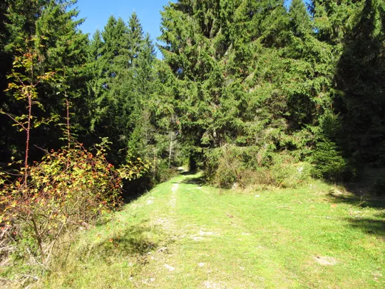 Dettaglio del percorso