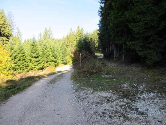 Verso la strada asfaltata