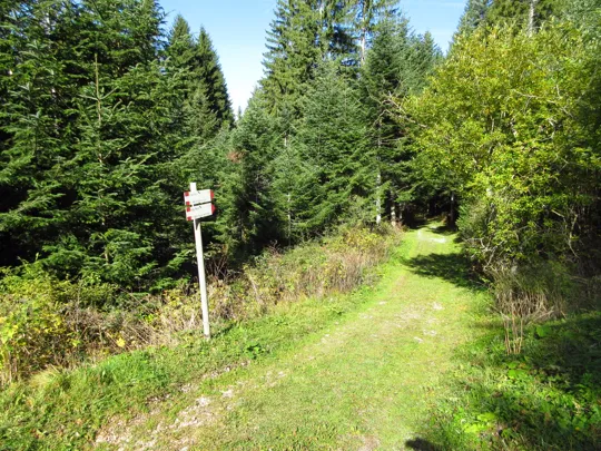 Dettaglio del percorso subito dopo l'attraversamento della strada asfaltata