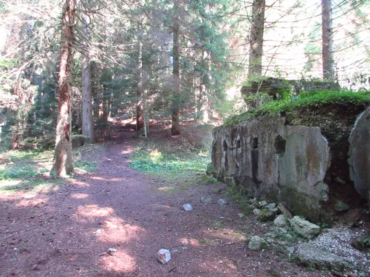 Cisterna d'acqua per le baracche di sanità