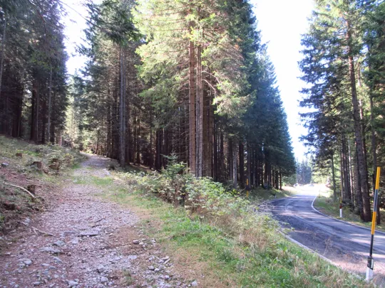 Dettaglio del percorso