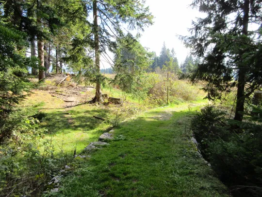 Uscire dal sentiero verso sinistra