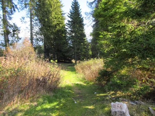 Dettaglio del percorso