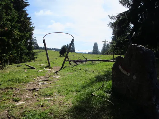 Dettaglio del percorso