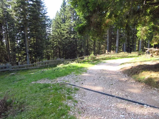 Svoltare a sinistra in prossimità della staccionata