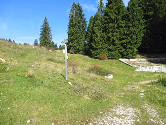 Deviazione a sinistra verso le postazioni di artiglieria