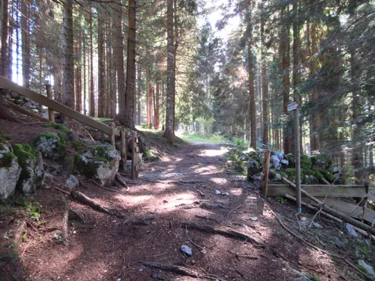 Dettaglio del percorso