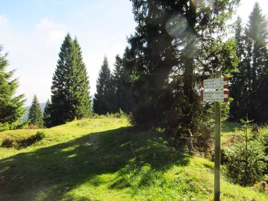 Dettaglio del percorso