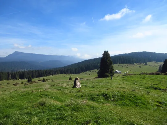 Dettaglio del percorso verso la malga
