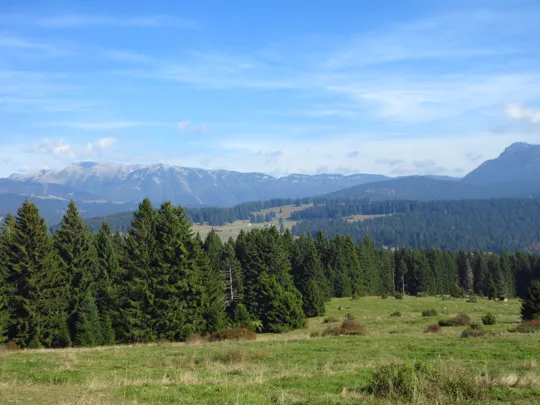 Dettaglio del percorso verso la malga