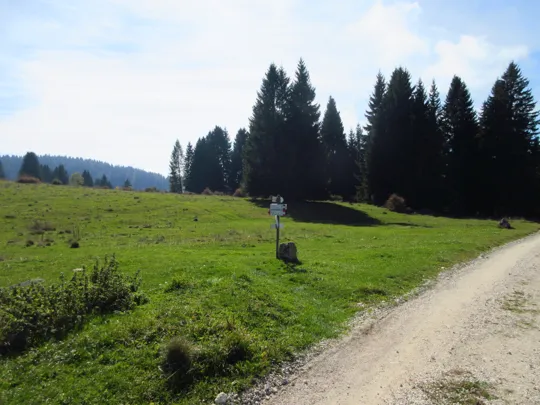 Si prosegue a sinistra lascando la strada