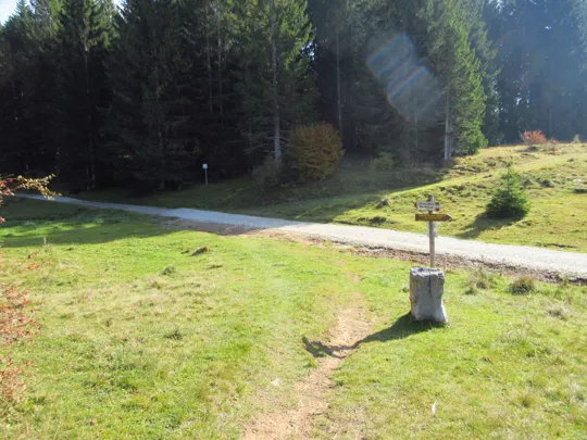 La strada che porta al forte