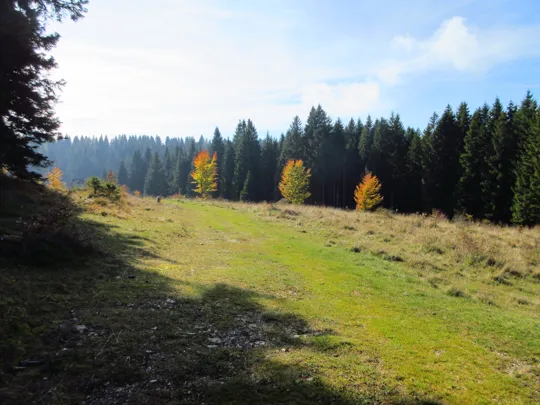 Dettaglio del percorso