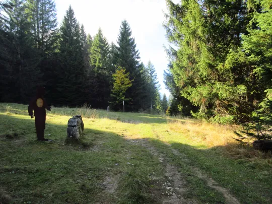 Dettaglio del percorso