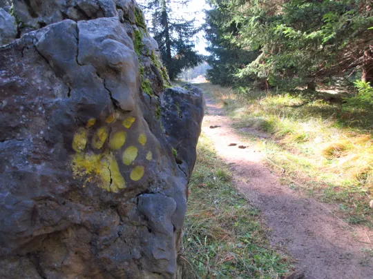 Luserna - Sulle tracce dell'orso