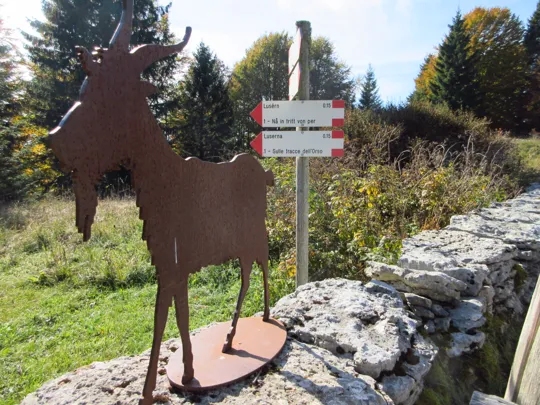 Dettaglio del percorso