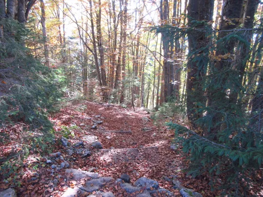 Dettaglio del percorso