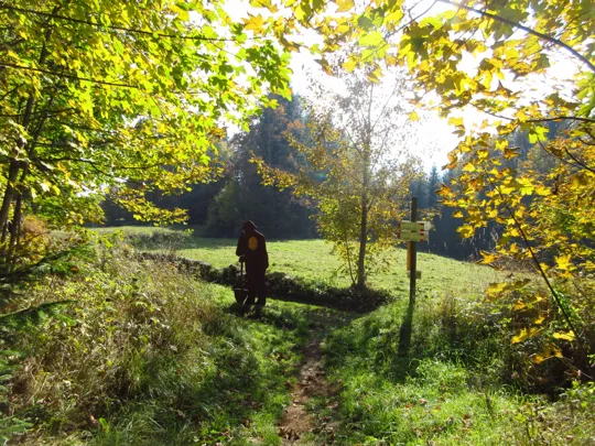 Dettaglio del percorso