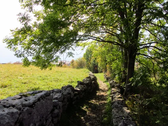 Mulattiera verso il centro di Luserna