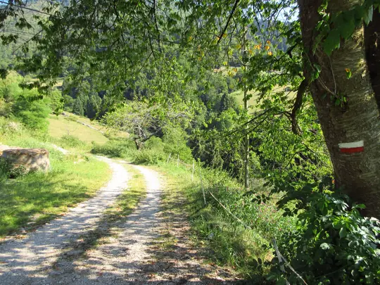 La strada dopo Lorenzoni