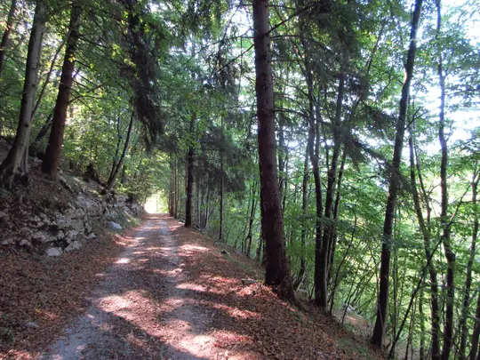Dettaglio del percorso