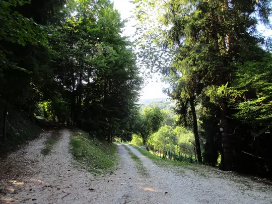 Rimanere sulla strada a destra