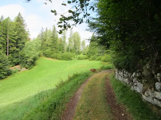 Tratto del Sentiero delle Sorgenti tra prato e bosco