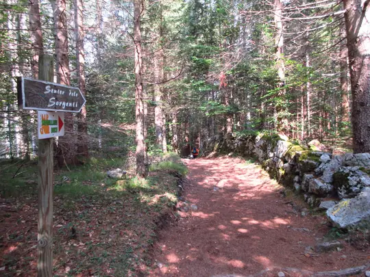 Indicazioni nel bosco lungo il Sentiero delle Sorgenti
