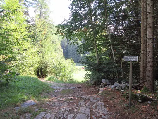 Sentiero in discesa durante il rientro verso Bertoldi