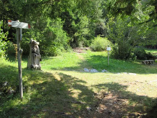 Il bosco si apre sui prati nei pressi di Bertoldi