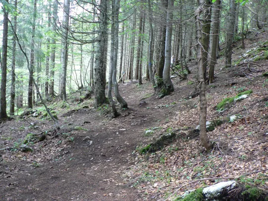 Sentiero del Silenzio