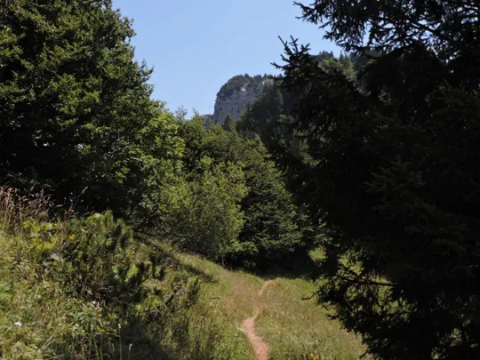 Dettaglio del sentiero