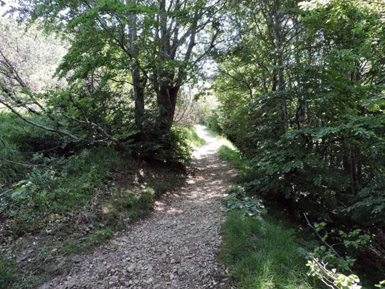 Dettaglio del sentiero