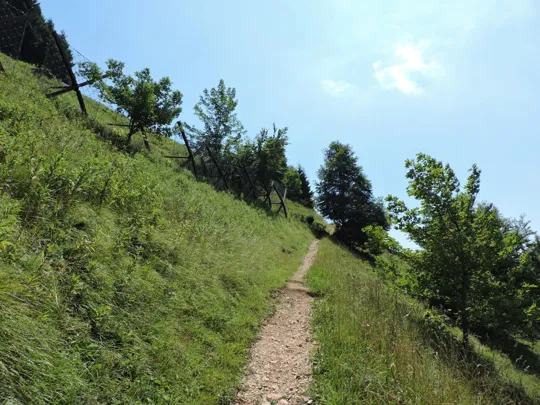 Dettaglio del sentiero