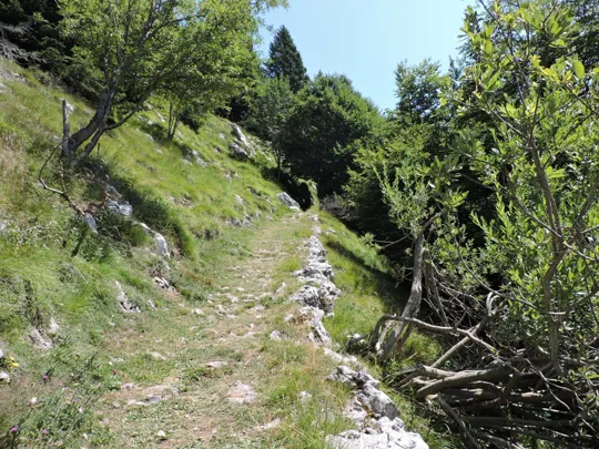 Dettaglio del sentiero