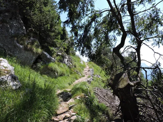 Dettaglio del sentiero